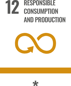 Responsible Consumption and Production